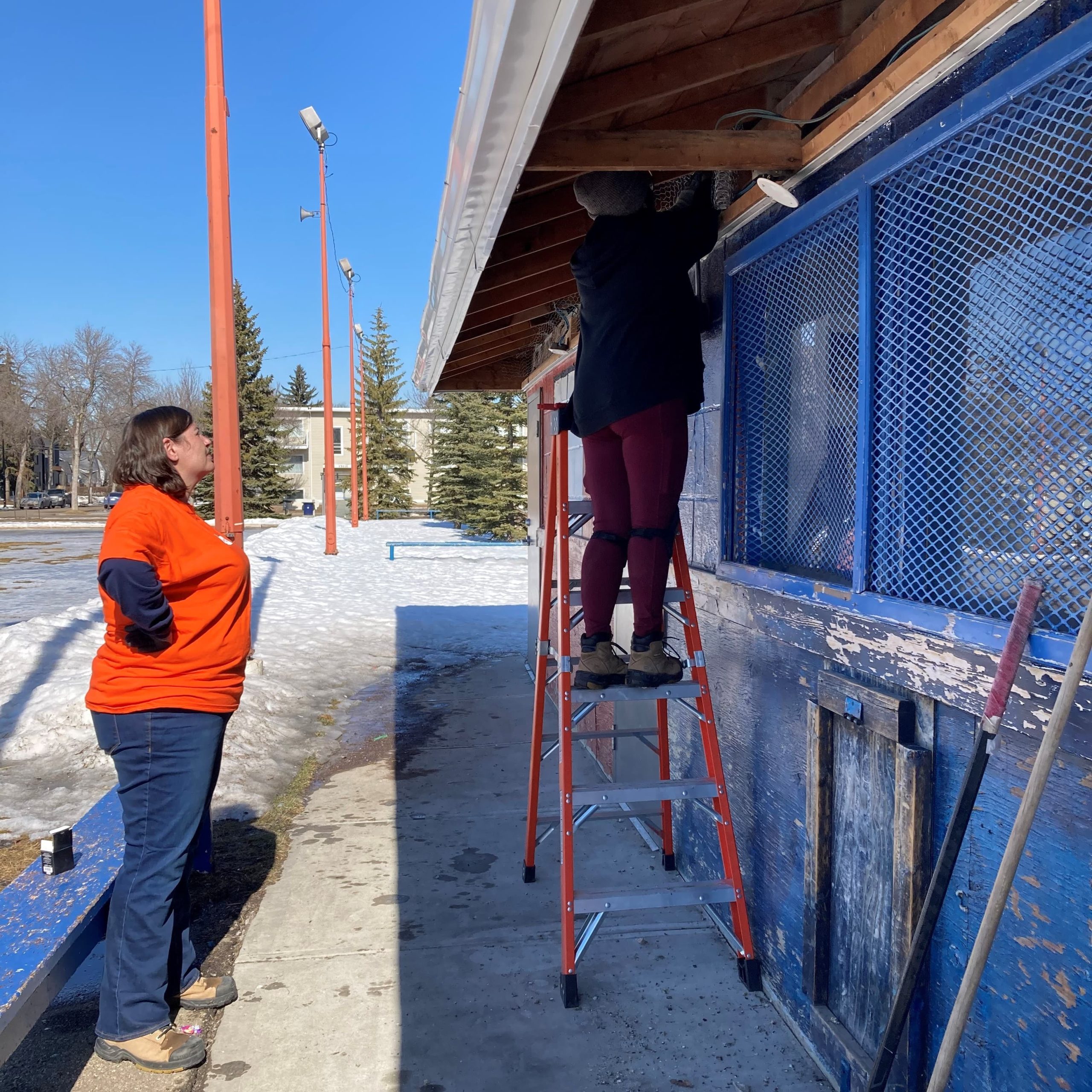 Shack Repairs Update on the Rink Shack Roof Repairs | North Glenora